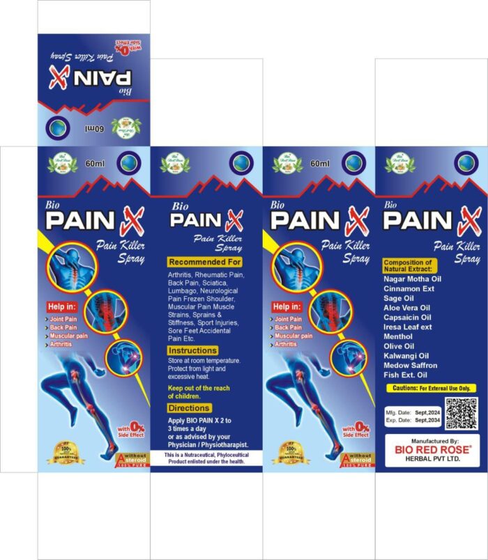 Pain X - Image 1